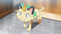 Butch's Meowth