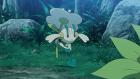 Goh Floette White Flower.png