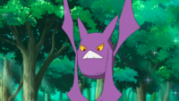 Brock's Crobat