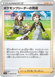 PokémonBreederNurturingDarknessAblaze166.jpg