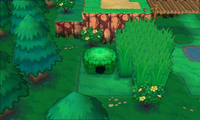 Secret Spot Route 119 10.png