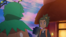 Poké Problem extra scene SM131.png