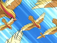 Solidad Pidgeot Double Team.png