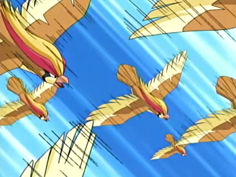 File:Solidad Pidgeot Double Team.png