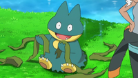 Professor Burnet's Munchlax