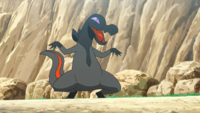 Ash's Salandit