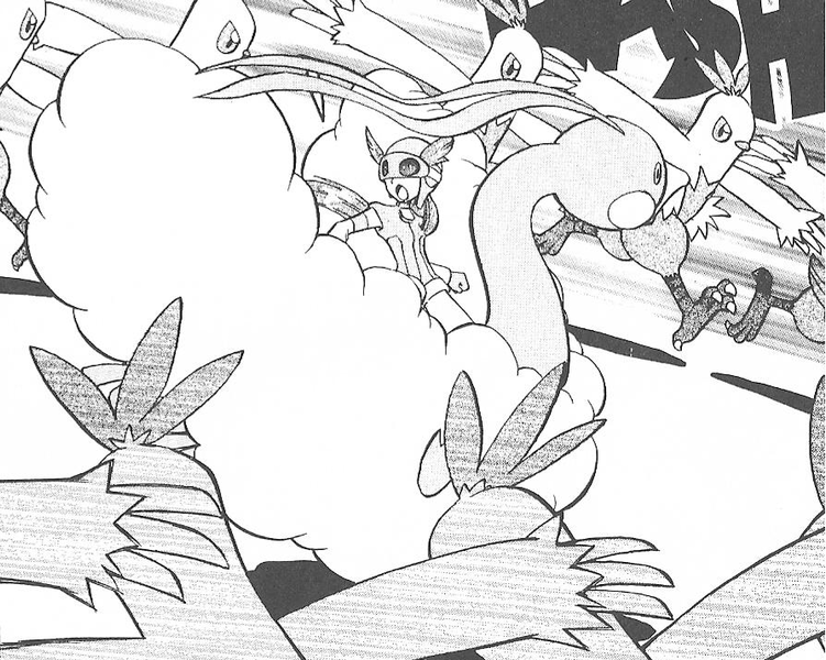 File:Chic Combusken Double Team.png