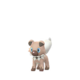 Rockruff