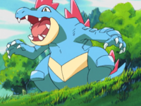 Kinso's Feraligatr