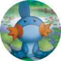 Mudkip (profile icon)