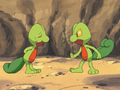 Old and young Treecko