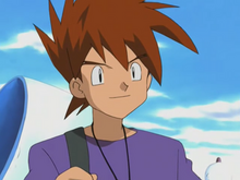 How Many Pokémon Does Gary Have? & 9 Other Questions About Ash's Rival,  Answered