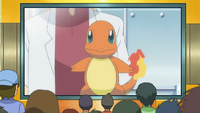 Professor Oak's Charmander