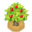 PomegTreeBerryVI XY.png