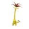 Exeggutor (Alola Form)