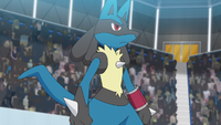 Korrina's Lucario ↔ Mega Lucario