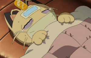 Meowth cold.png