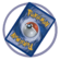 Project TCG logo.png