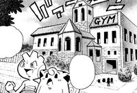 Dewford Town Gym, Pokemonupgradeindigo Wiki