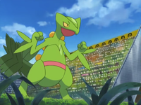 Tyson's Sceptile