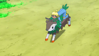 Baa de Mer Ranch's Skiddo