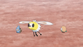 Cutiefly SM056.png