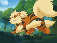 Riox's Arcanine