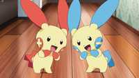 Devi and Multa's Plusle and Minun