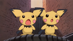 The Pichu Brothers