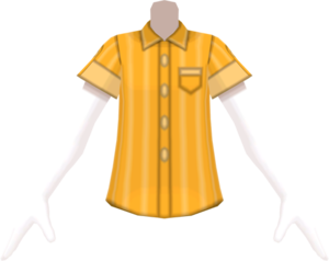 SM Pinstripe Collared Shirt Orange m.png
