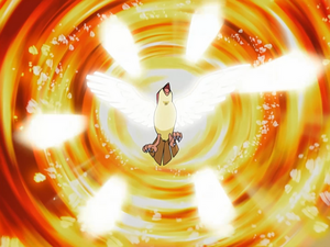 Solidad Pidgeot FeatherDance.png