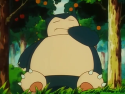 Ash Snorlax debut.png