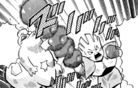 Giovanni Hitmonchan Comet Punch PM.png