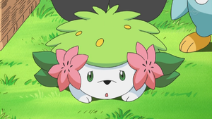 Shaymin Land anime.png