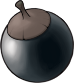 Black Apricorn