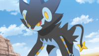 Archeologist's Luxray