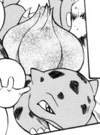 Ash's Bulbasaur