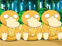 Psyduck Eggs anime.png