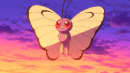 Ash Butterfree M20.png
