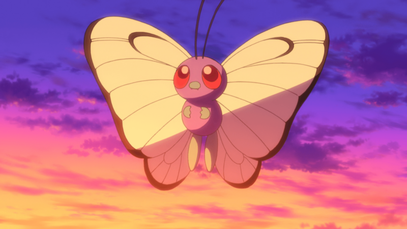 File:Ash Butterfree M20.png