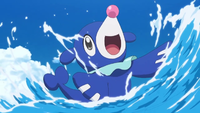 Ash's Popplio