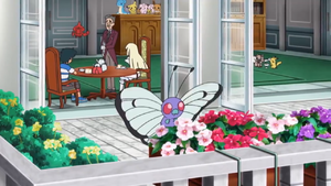 Lillie Butterfree.png