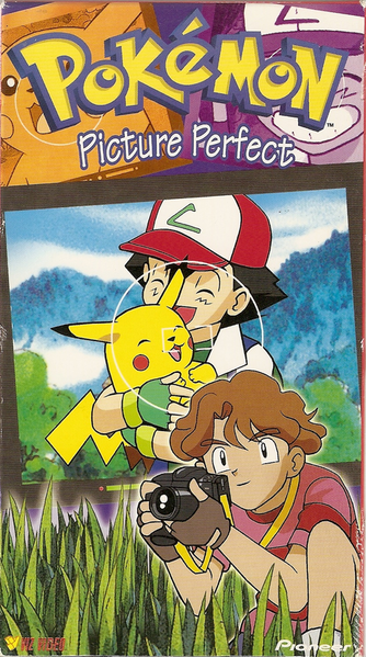 File:Picture Perfect VHS.png