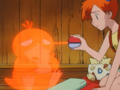 The apples follow Psyduck into its Poké Ball