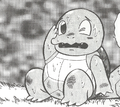 Giovanni Squirtle PM.png