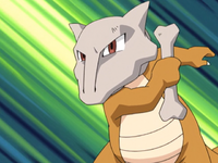 Jeffrey's Marowak