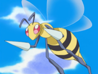 Casey's Beedrill