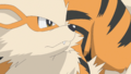 Diana Arcanine.png