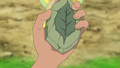 A Leaf Stone in JN037