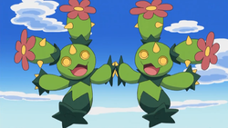 Maractus Pokédex Pokémon Bulbapedia Cacnea, pokemon, leaf, fictional  Character png